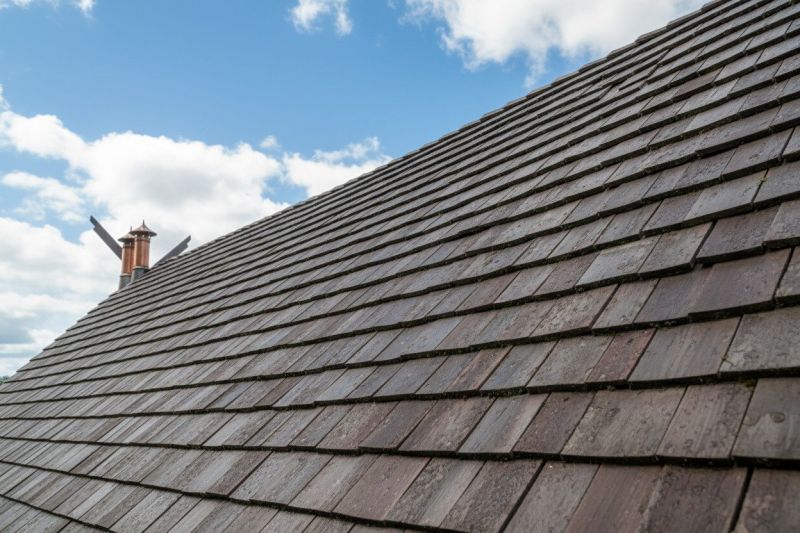 Cedar Roof Replacement in Alexandria, VA