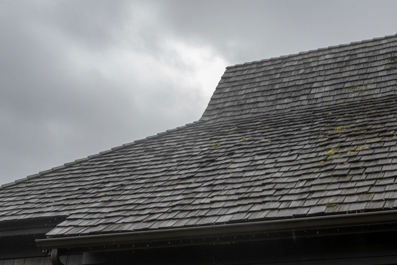 Cedar Shingles Replacement in Fredericksburg, VA