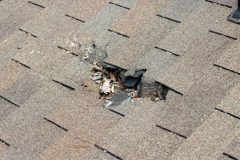 Damaged Roof Replacement in Providence, RI