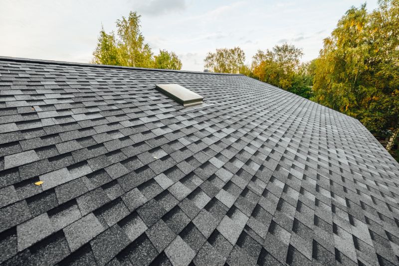 Leaky Roof Replacement in Alexandria, VA