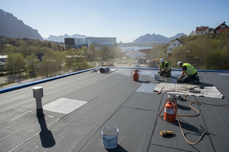 Tpo Roof Replacement in Alexandria, VA